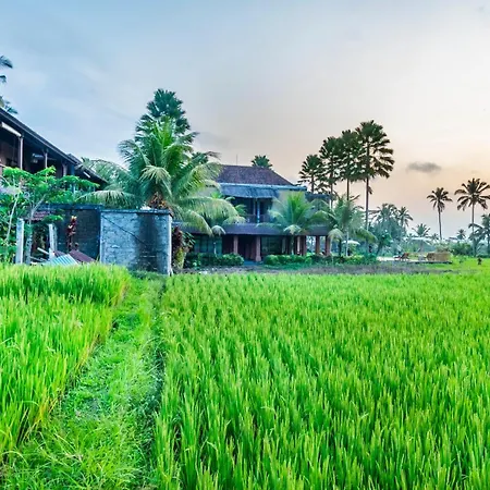 Chandana Ubud Villa