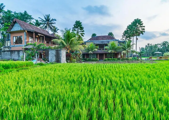 Bed & Breakfast Chandana Ubud